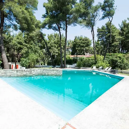 Iris With Pool In Sani