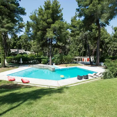 Iris With Pool In Sani Villa *