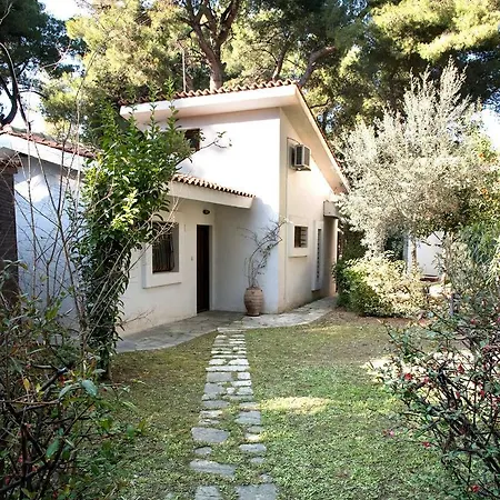 Villa Iris With Pool In Sani